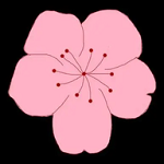WWW,901se·COM网站APPAPP应用